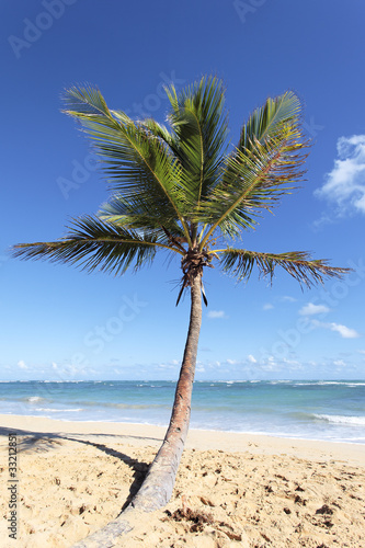 Fototapeta Naklejka Na Ścianę i Meble -  beautiful caribbean beach with palm trees in summer