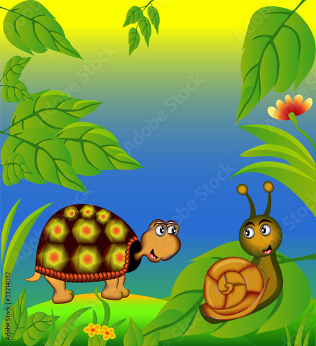 nice terrapin and snail in herb
