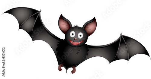 Fledermaus
