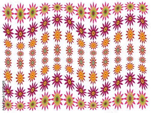 The symmetry ornament with different flowers