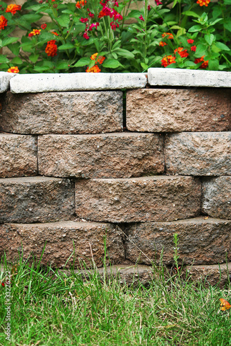 Backyard Landscape Planter