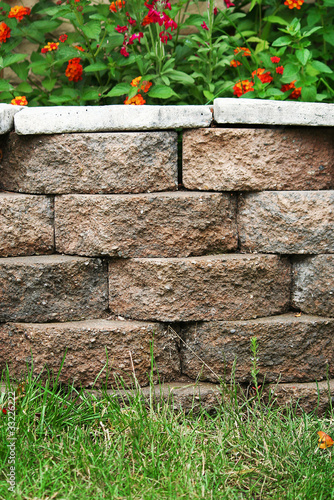 Backyard Landscape Planter