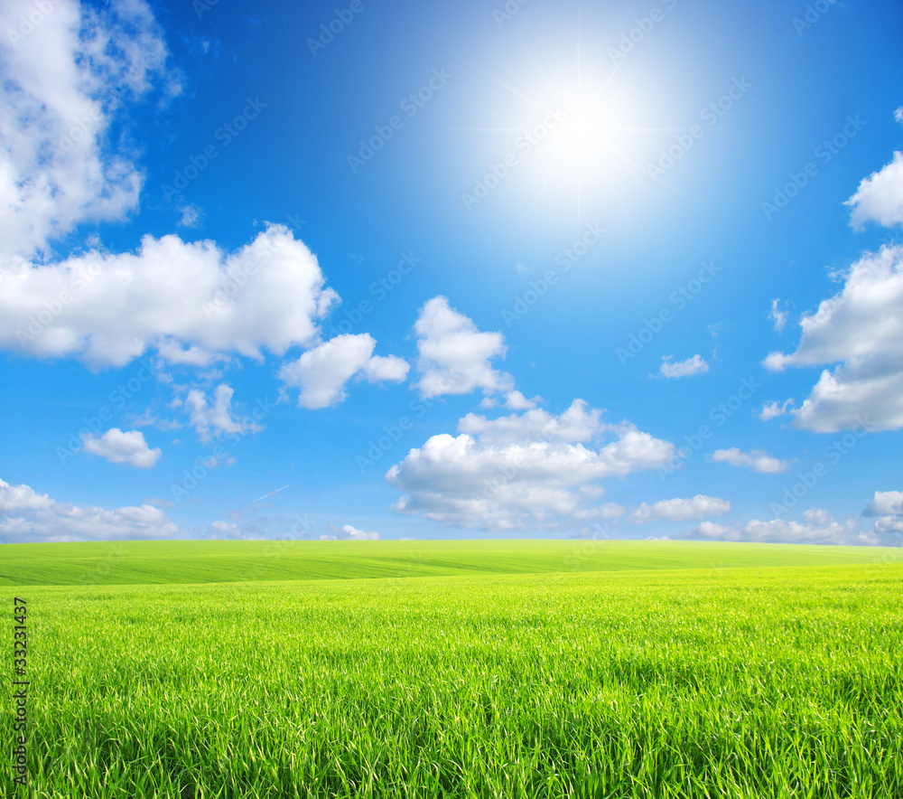 Green field Green field