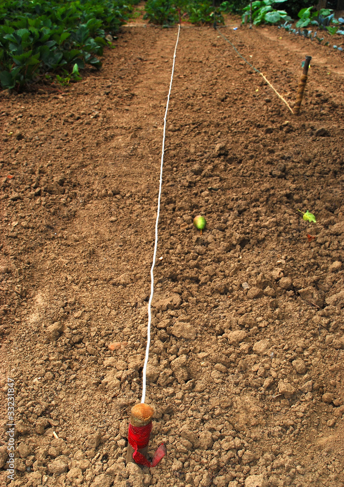 Richtschnur h. Stock-Foto | Adobe Stock