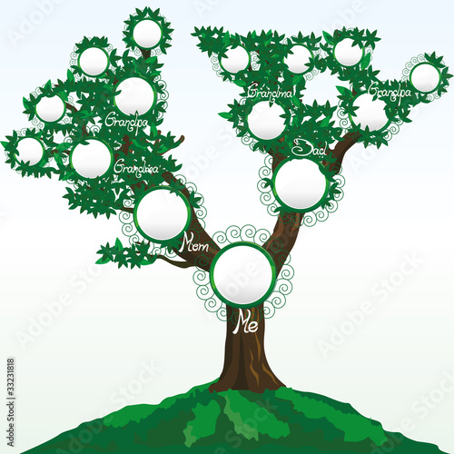 Family tree with place for photos or names, vector