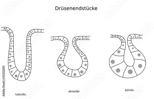 drüsen