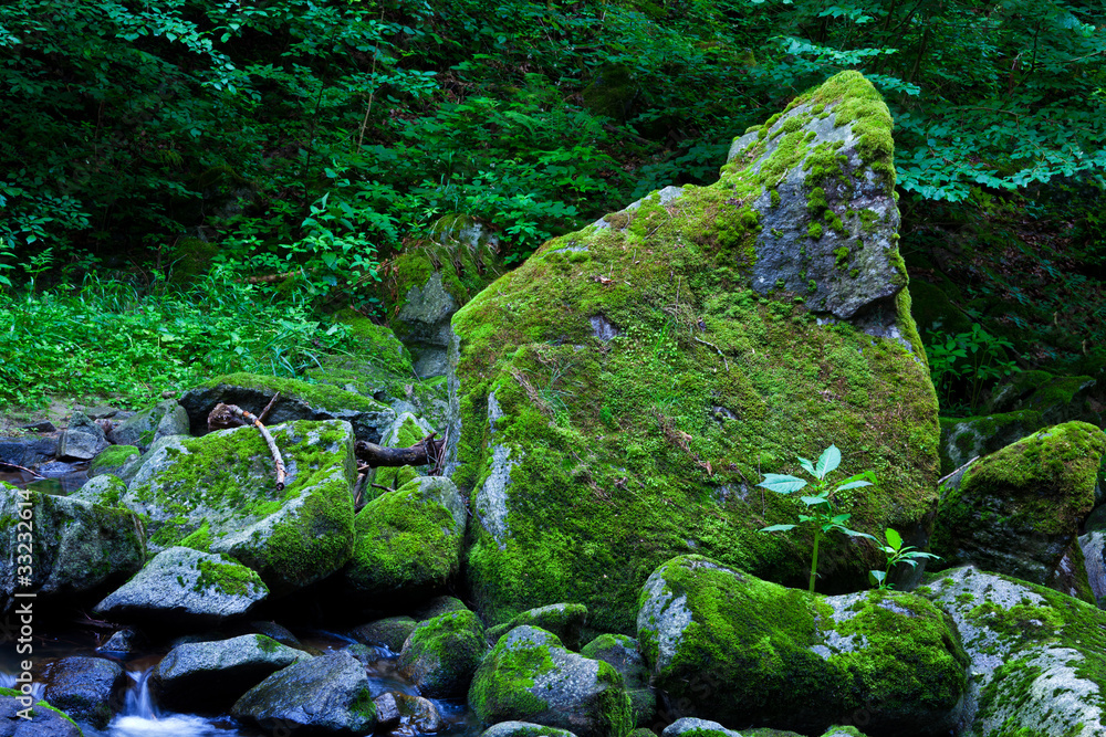 Bach mit Wasser und Steinen im Gebirge Bach mit Wasser und Steinen im Gebirge