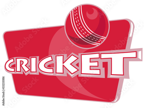 cricket sports ball