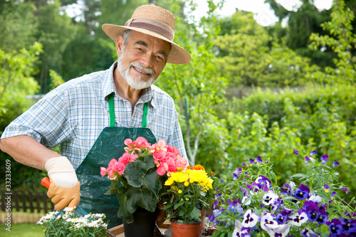 Slika na platnu Senior man with the flowers in his garden