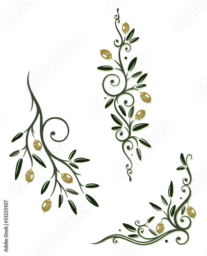 Oliven, Olivenzweige, Zweig, Küche, kochen, vector set