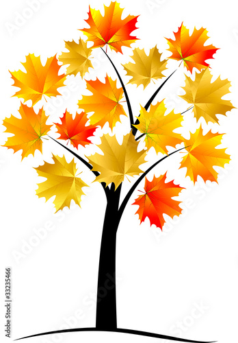 Maple tree, autumn leaf,vector