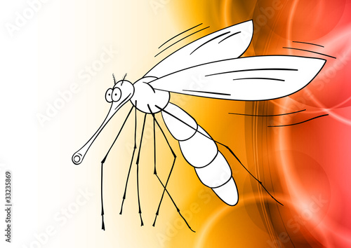 white gnat