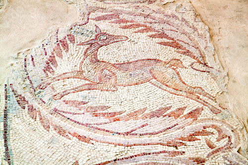 Beautiful Floor mosaics in Madaba, Jordan