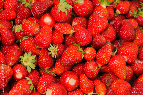 viele erdbeeren