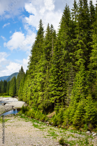 Wallpaper Mural Lotru river source in Romania mountains Torontodigital.ca