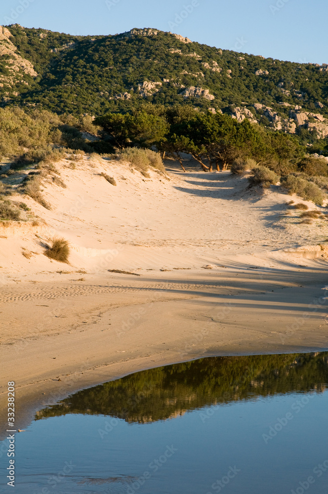 Sardinia, italy: sand dunes in Capo Ceraso beach, near Olbia. Sardinia, italy: sand dunes in Capo Ceraso beach, near Olbia.