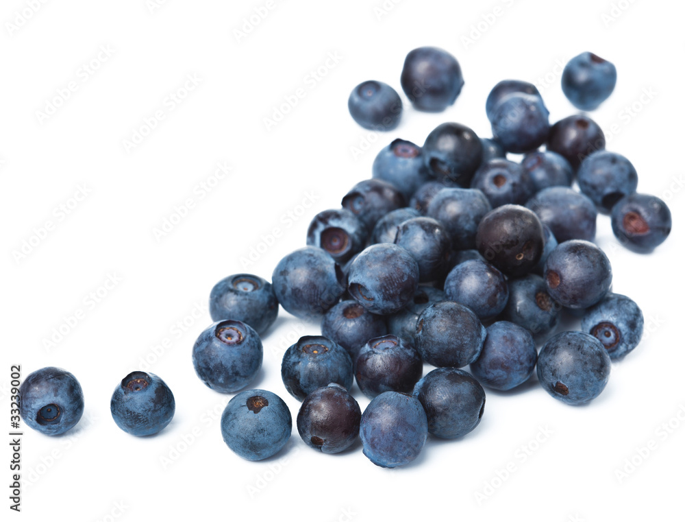 fresh blueberries isolated fresh blueberries isolated