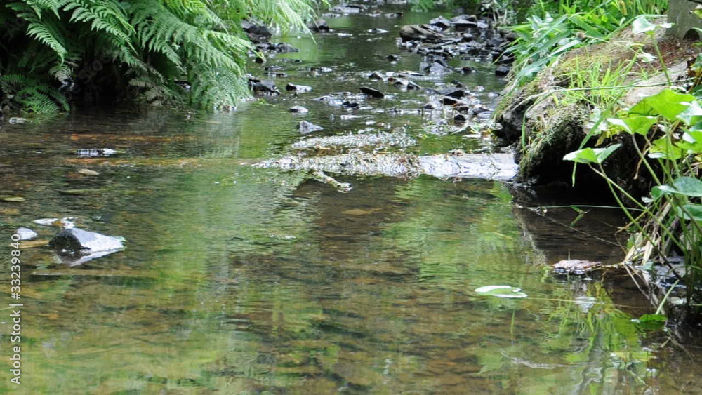 Ruisseau Ruisseau