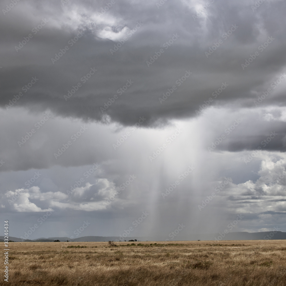 Cloud of rain sweeping the Savannah in Serengeti National Park