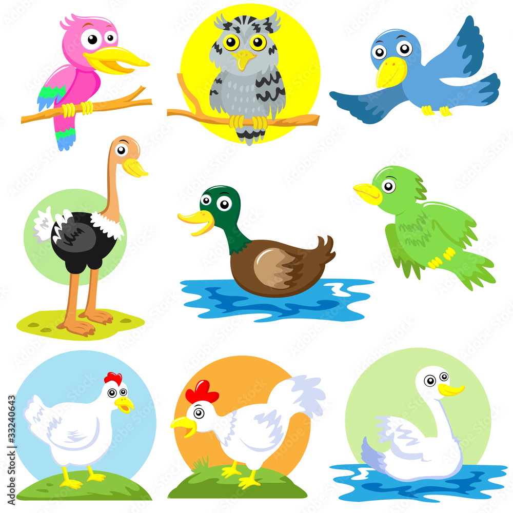 bird and poultry cartoon set bird and poultry cartoon set