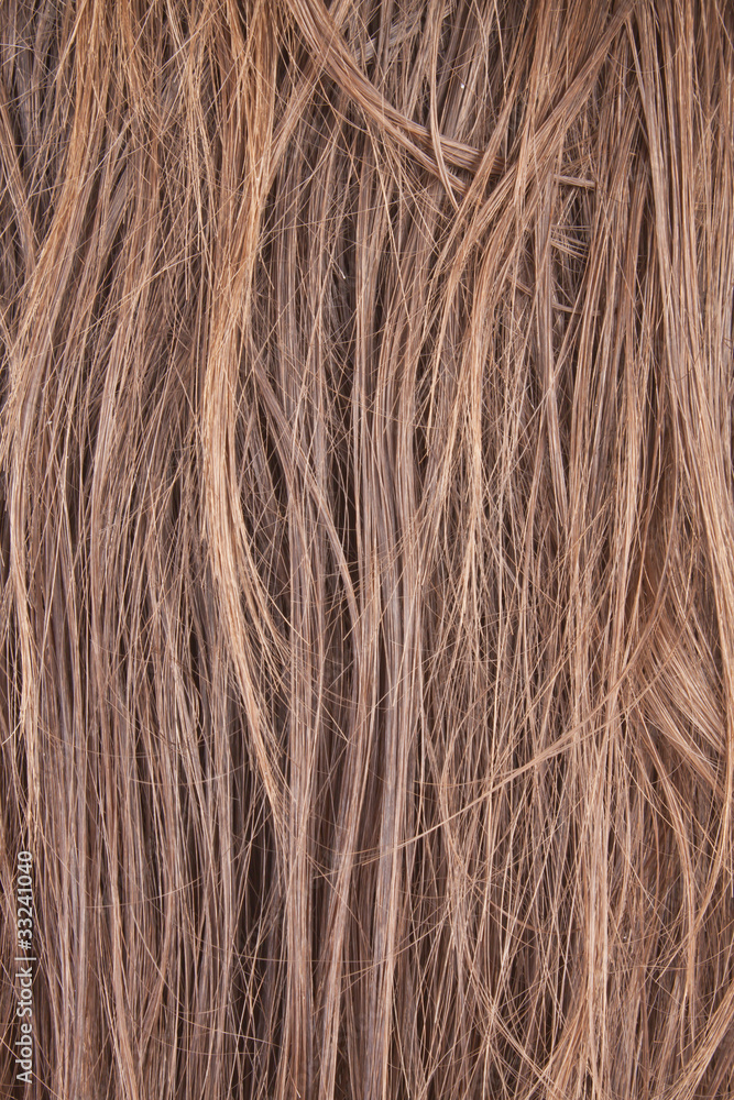 hairs hairs