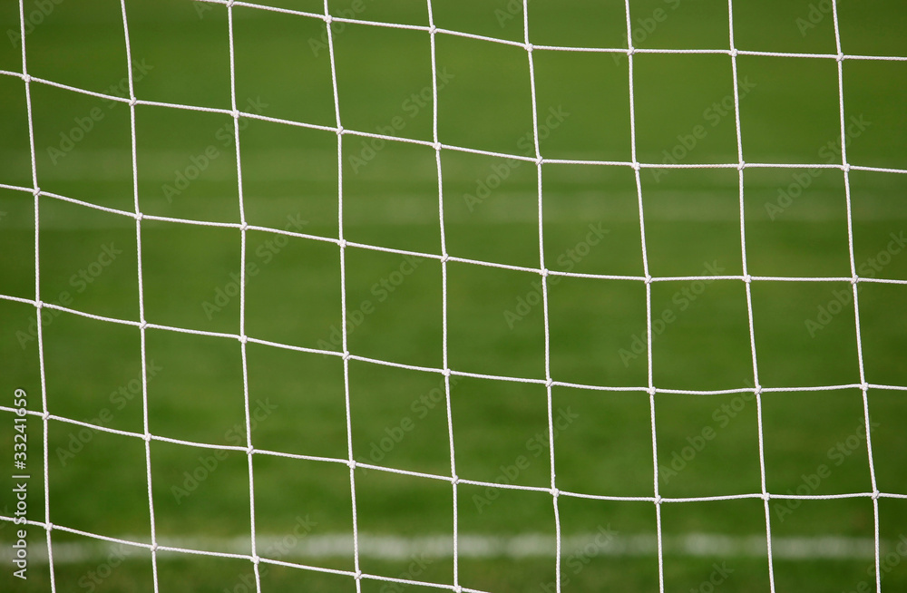 White football net, green grass
