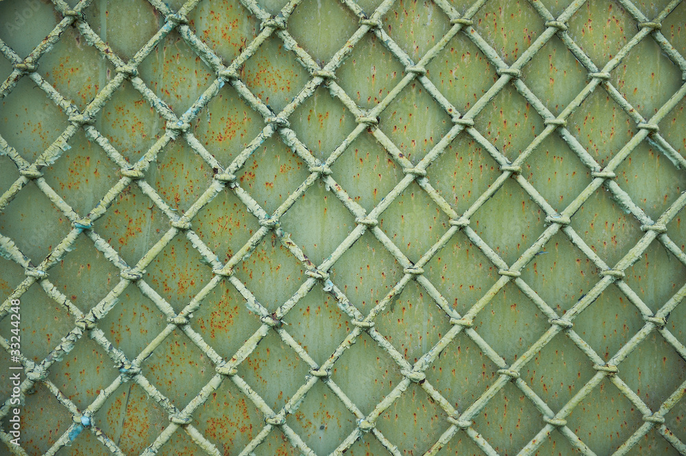 Fototapeta premium Old metal grill fence