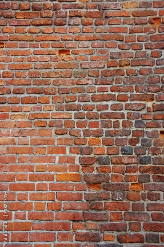 Fototapeta premium Ceglany mur