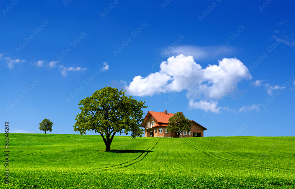 Obraz premium Green nature landscape