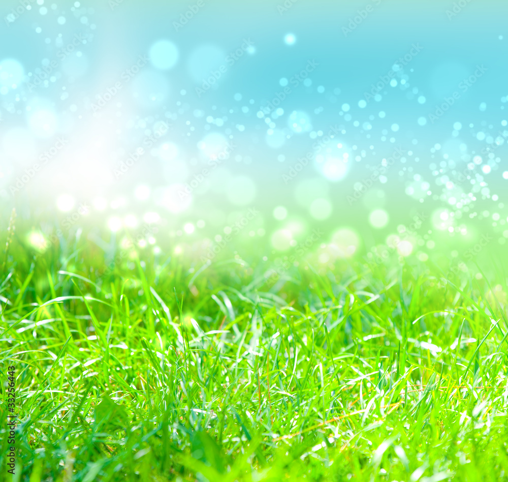 Fototapeta premium green grass