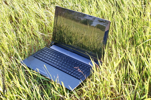 Ноутбук лежит на траве