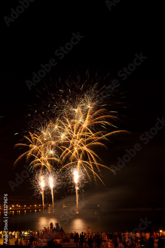 Brightly colorful fireworks  in the night sky © Dmytro Shevchenko