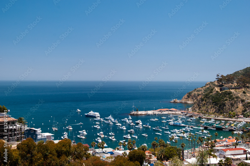 Naklejka premium Catalina Harbor on Avalon