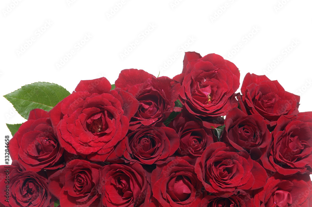 bouquet of rose bouquet of rose