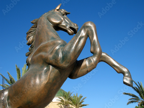 Statua cavallo photo