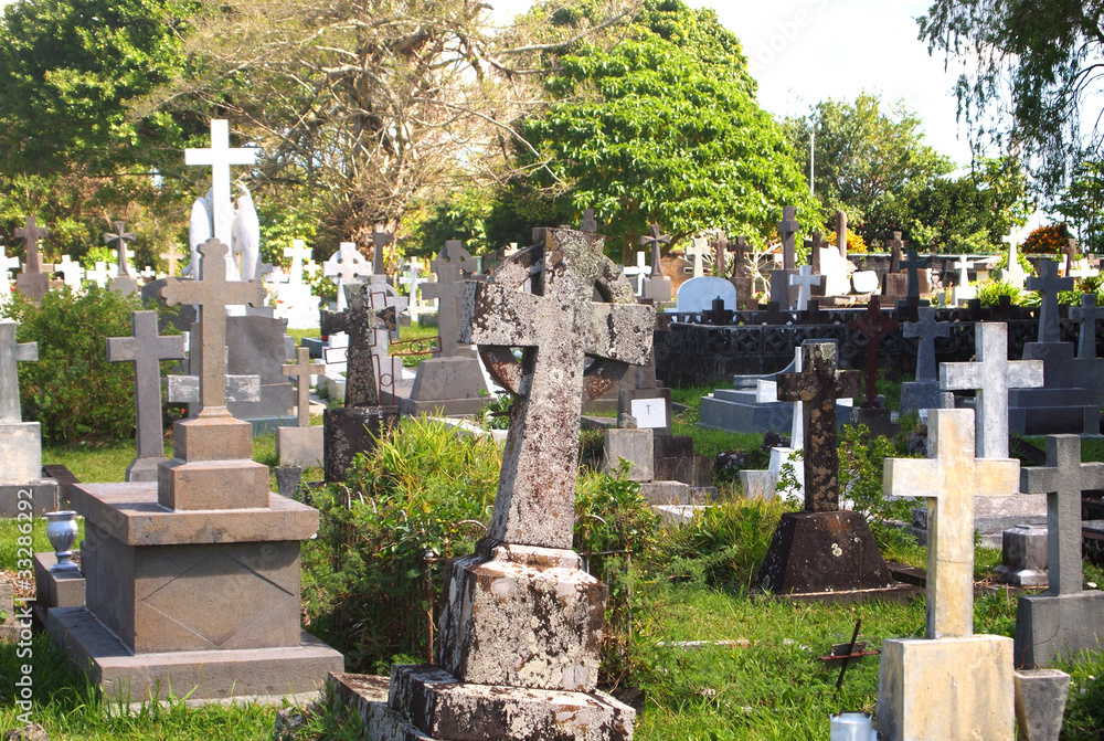 Fototapeta premium At the graves