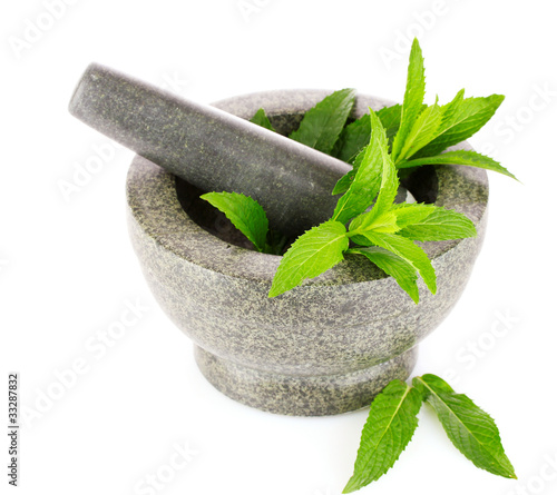 mint in agray mortar isolated on white photo