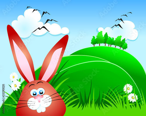 Buffo coniglio, primo piano - Cute rabbit, close-up