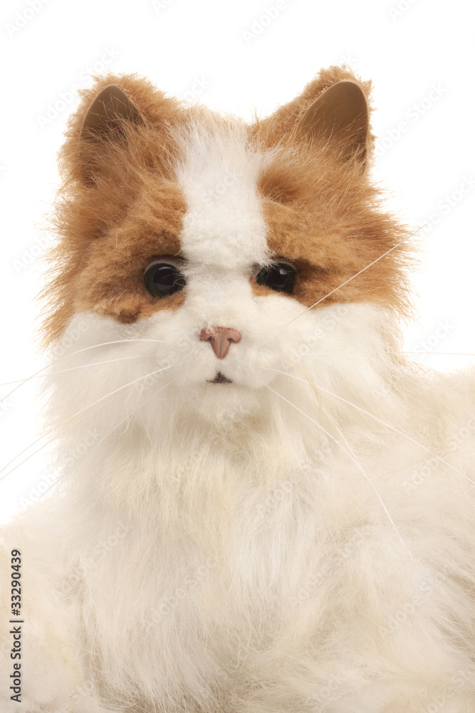 Fototapeta premium Toy cat