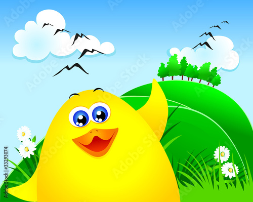 Buffo pulcino, primo piano - Cute chick, close-up
