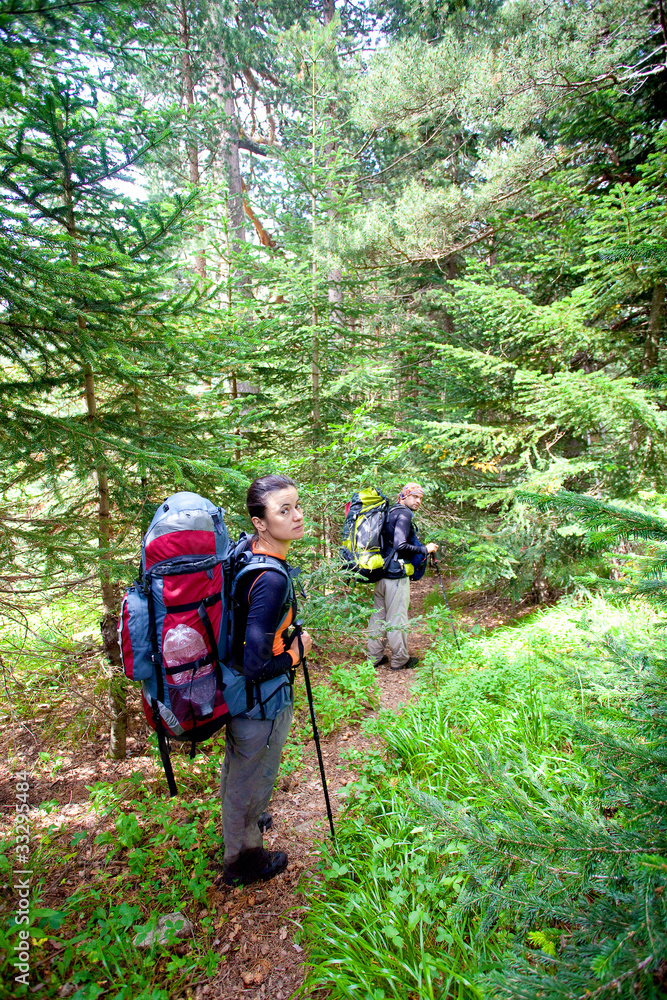 Obraz premium Hiker in forest