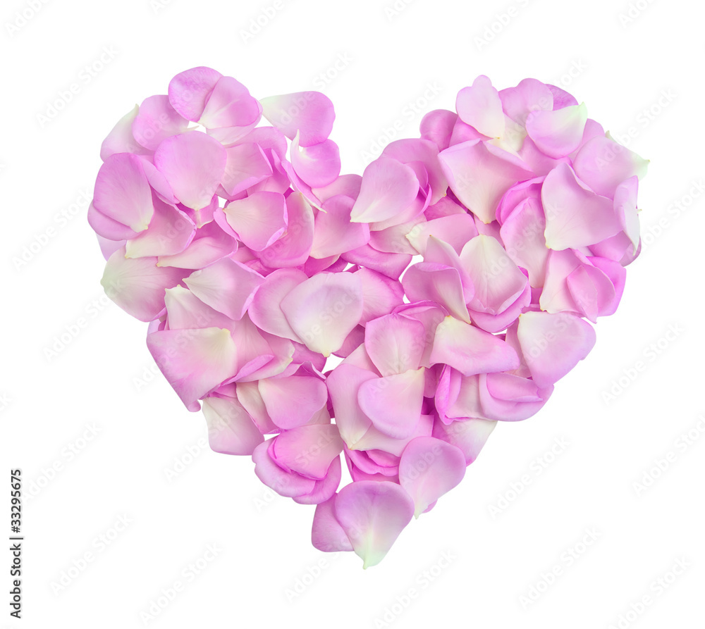 Obraz premium Heart with pink petals
