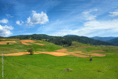 Mountain Rodopi