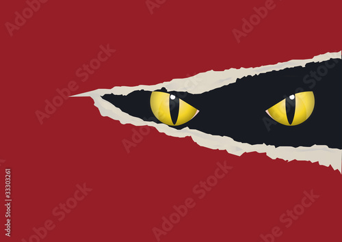 Yeux_Chat_Dechirure
