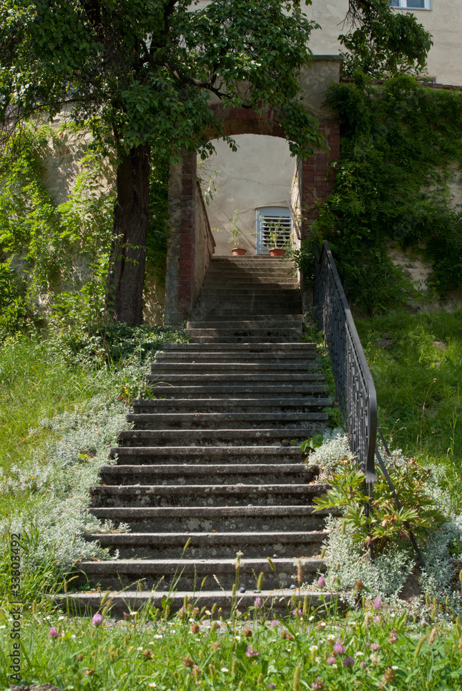 Steps through grass