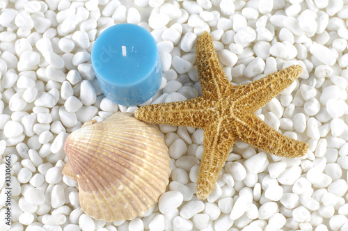 Seashells and starfish and blue candle on white pebbles