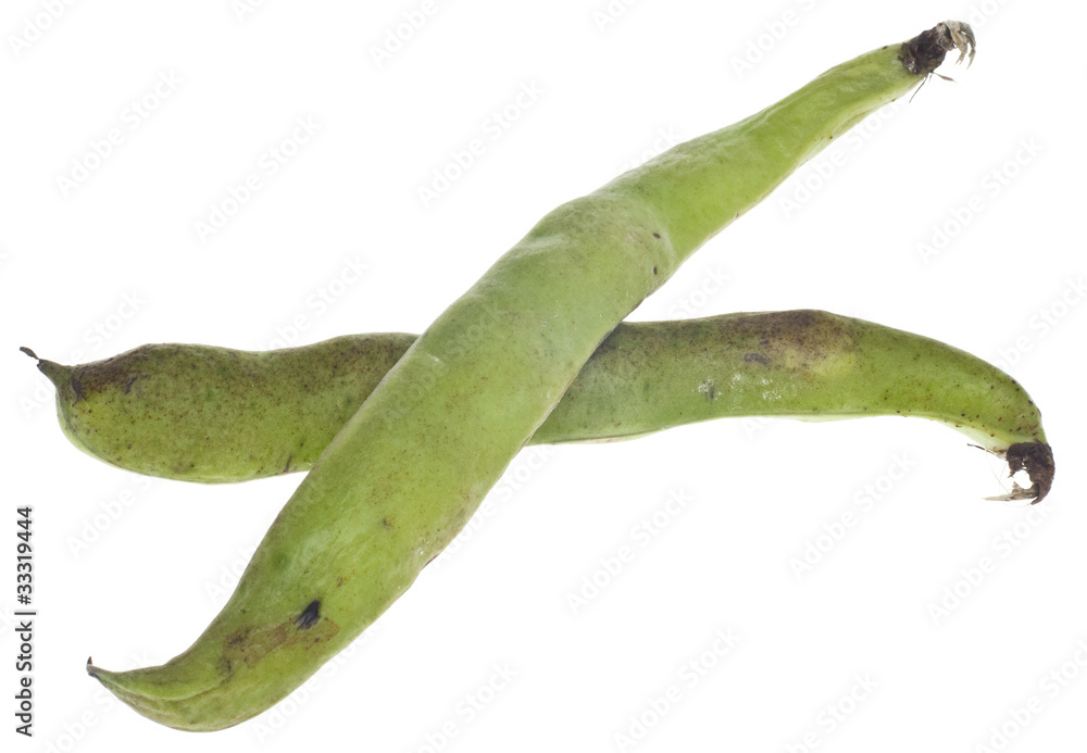 Faba Vica Fava Beans