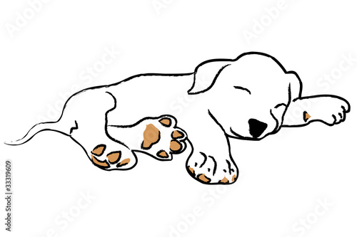 Sleeping puppy