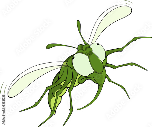 The scared green fly.Cartoon