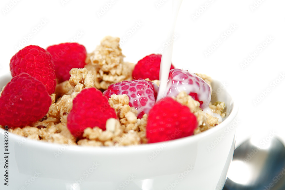 Cereal Bowl Cereal Bowl
